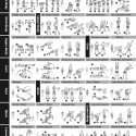 NewMe Fitness' Dumbbell workout poster shows you how to execute each exercise in a simple easy-to-follow graphic..jpg