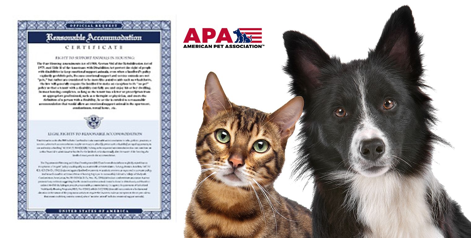 The American Pet Association Launches Emotional Support Animal Letter