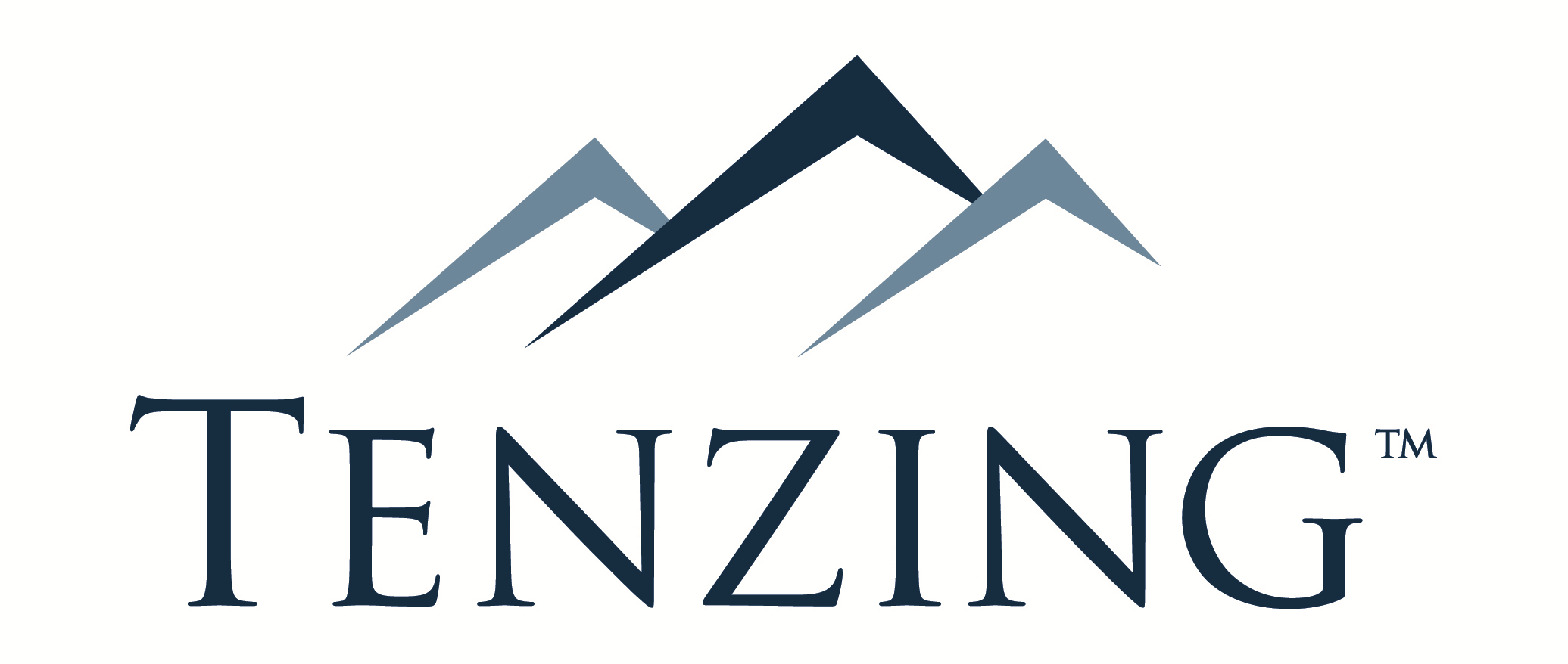 Tenzing Managed IT Services