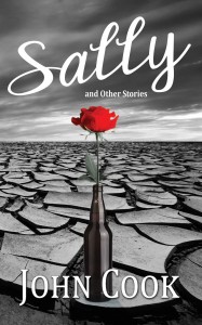 140629-Sally-Ebook-Cover-Final copy - SMALL.jpg