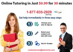 Online Tutoring.jpg