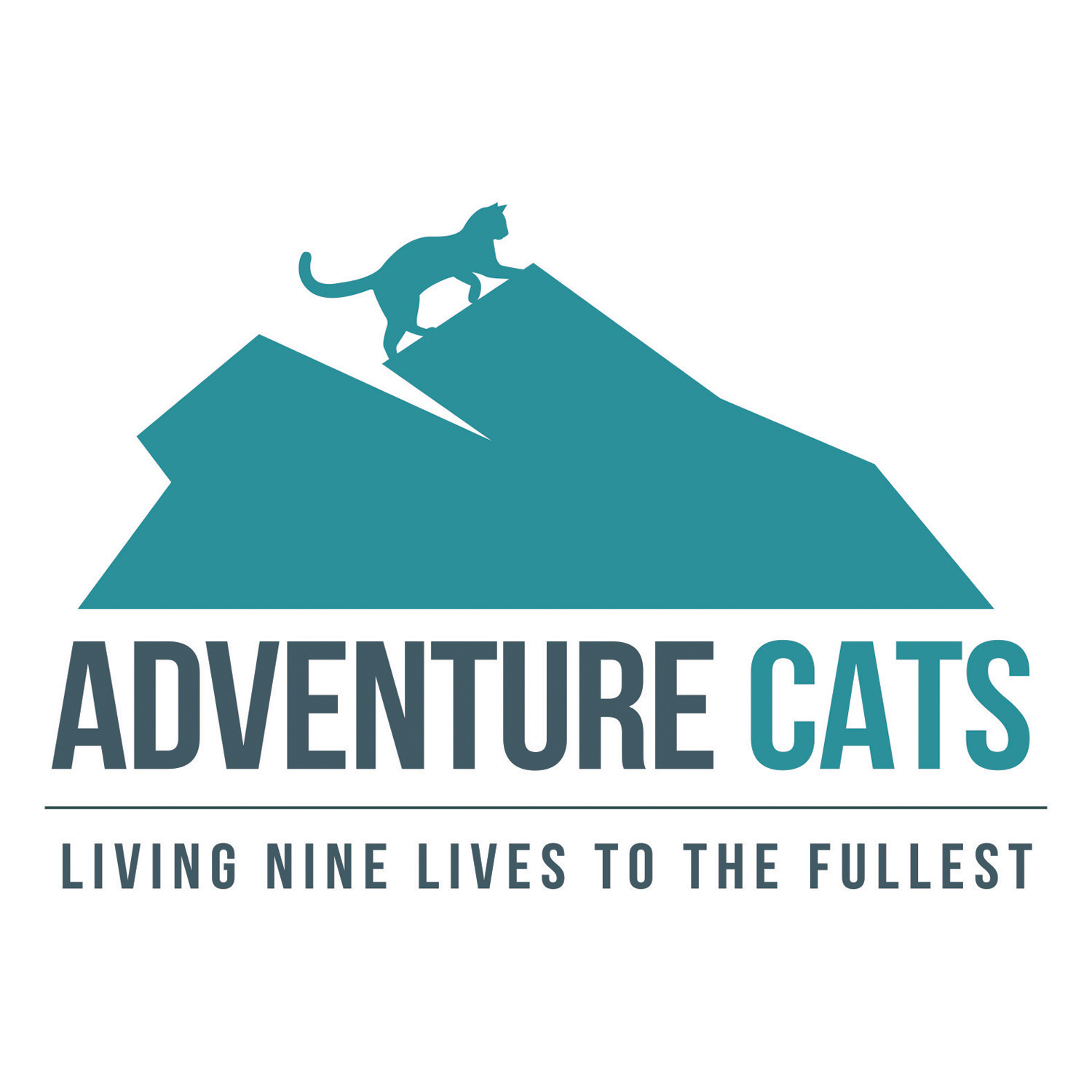 Adventure Cats