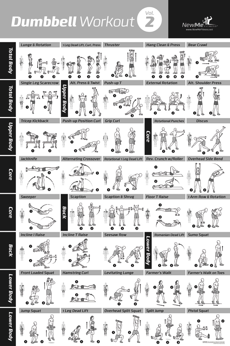 NewMe Fitness Premieres Dumbbell Workout Exercise Poster Volume 2 ...