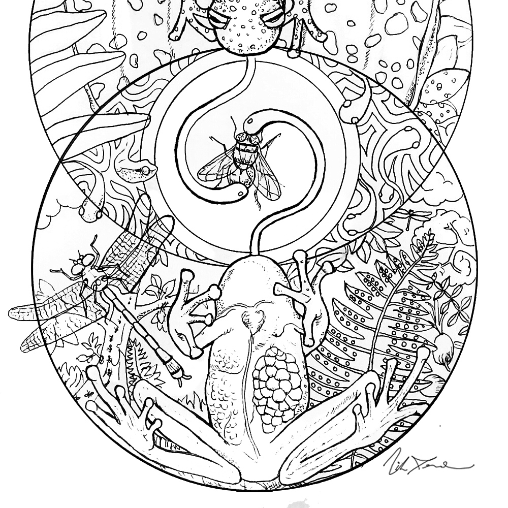 Download Exotic and endangered species coloring book 'Last Chance Earth' launches on Kickstarter ...