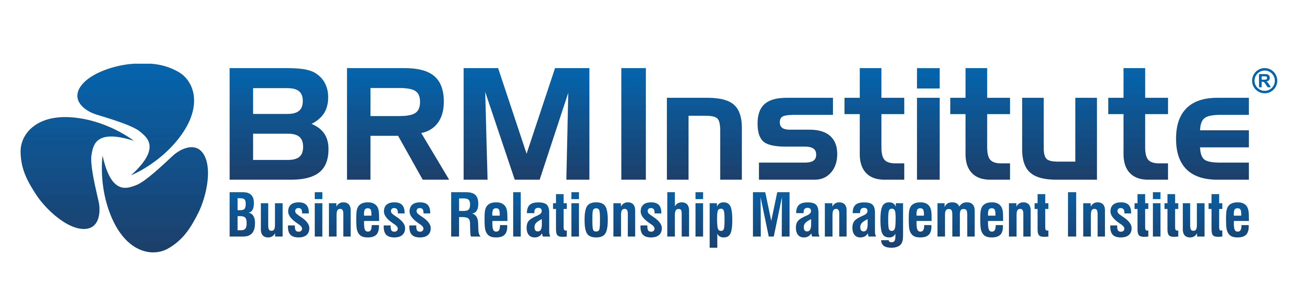 Business Relationship Management Institute, Inc.