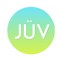 JÜV Consulting