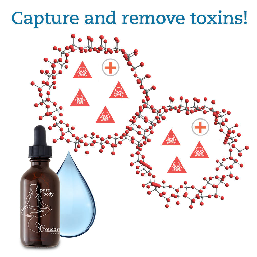 Touchstone Essentials Donates Pure Body Liquid Zeolite to Aid Brain