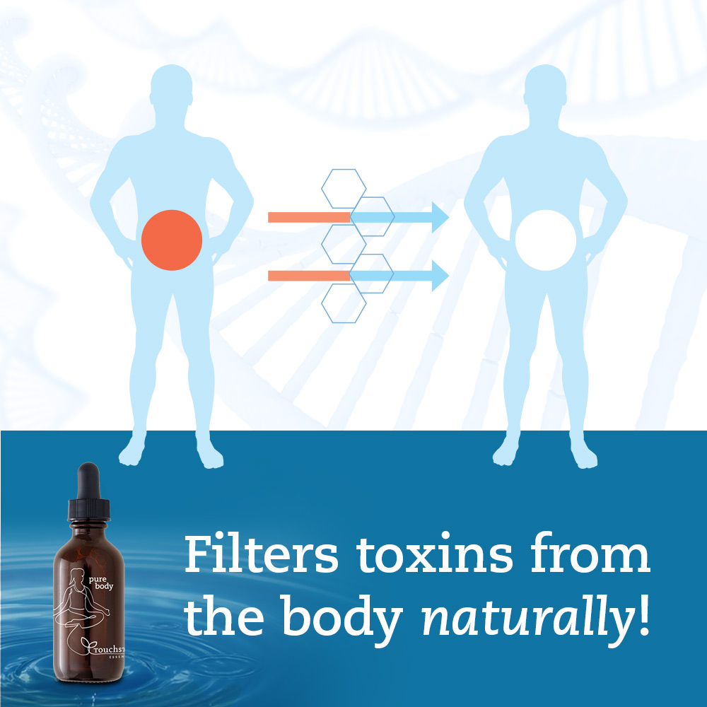 Touchstone Essentials Donates Pure Body Liquid Zeolite to Aid Brain