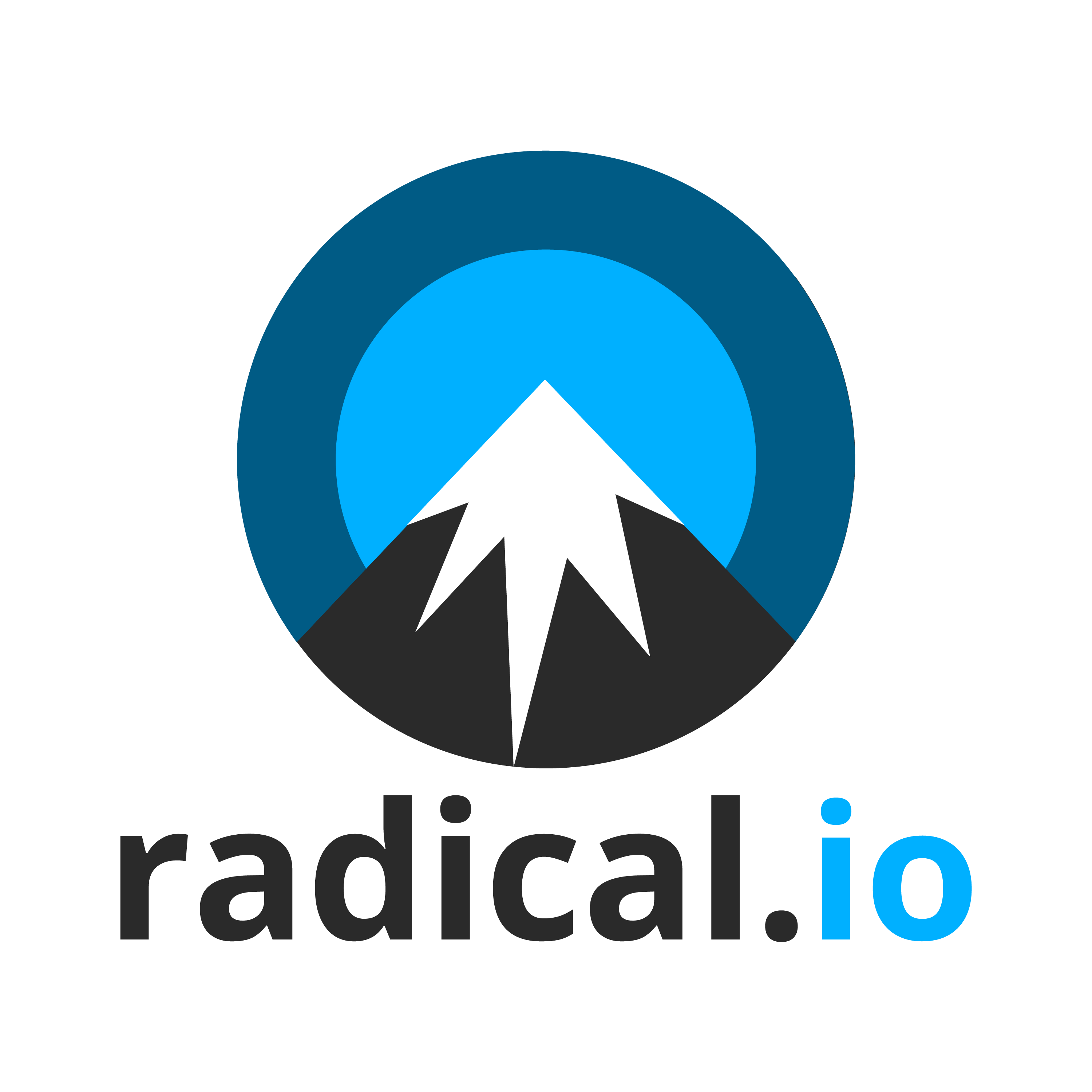 Radical I/O Technology Inc