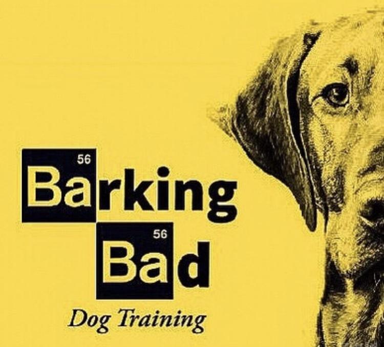 Barking Bad Dog Training