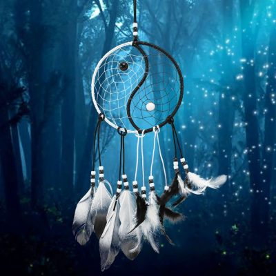 Dream Dream