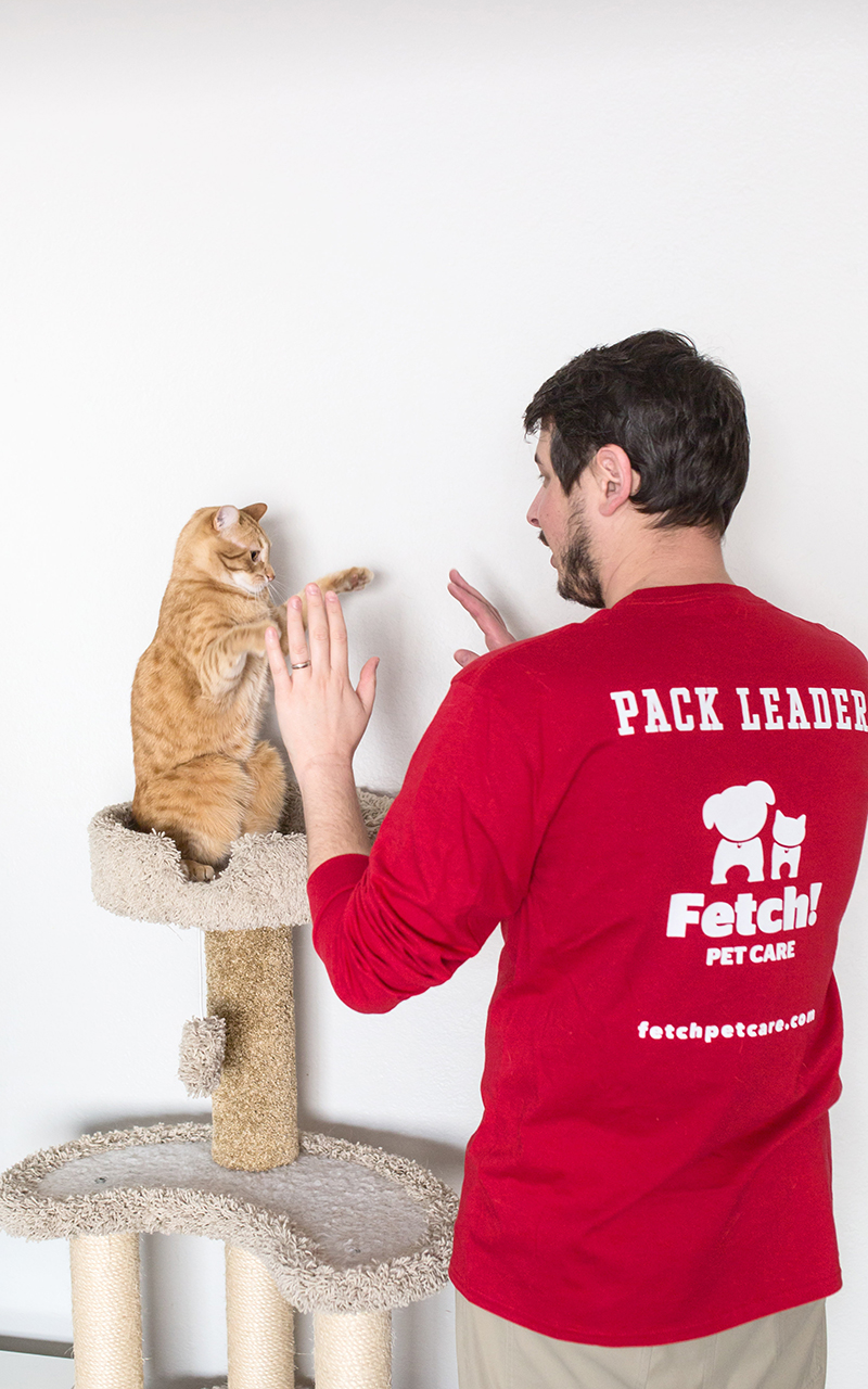 Fetch! Pet Care Announces Atlanta Area Franchise Expansion PRUnderground