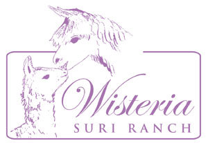 Wisteria Suri Ranch