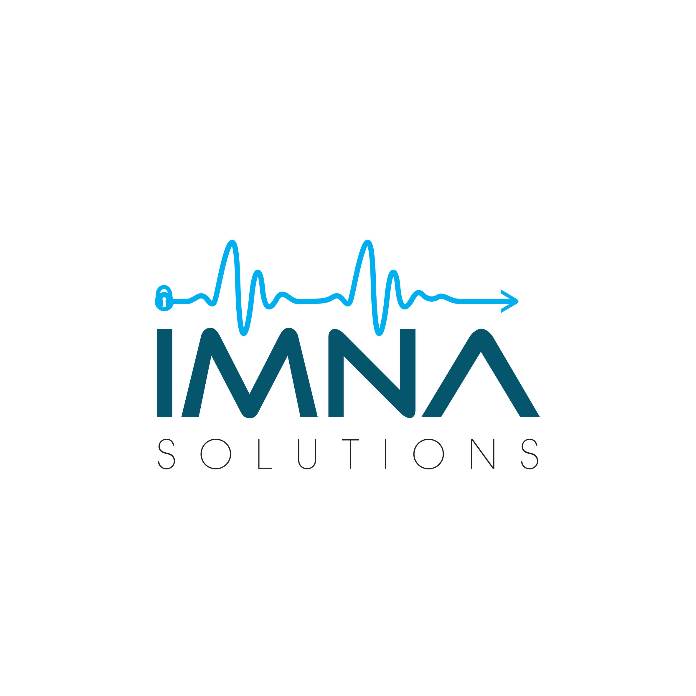 IMNA Solutions