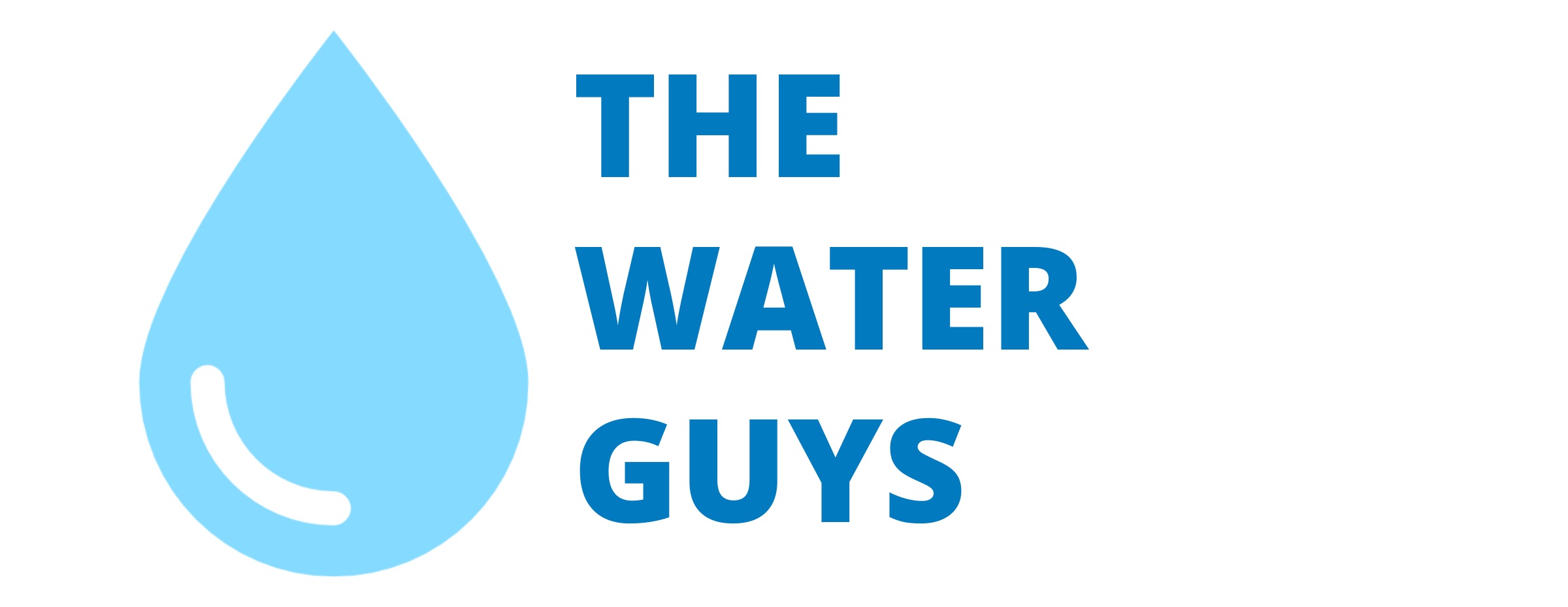 The Water Guys