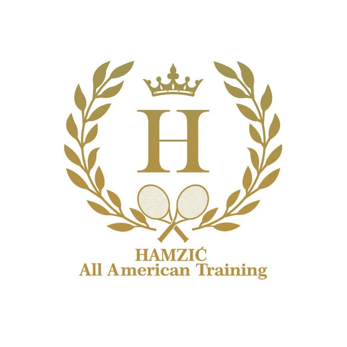 Hamzic All American Training