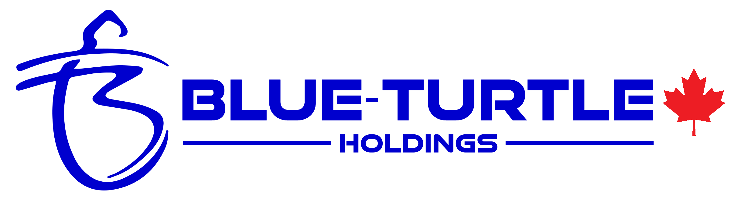 Blue-Turtle Holdings