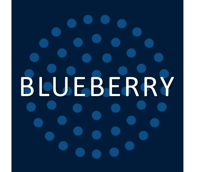 Blueberry Business Group Ltd.