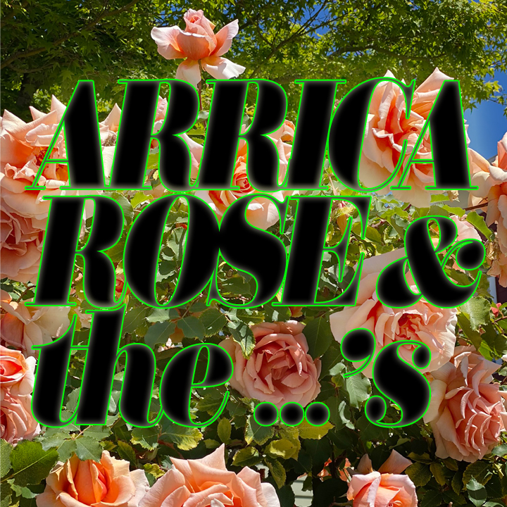 Arrica Rose (pOprOck records)
