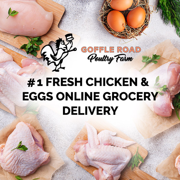 goffle poultry farm goffle poultry farm