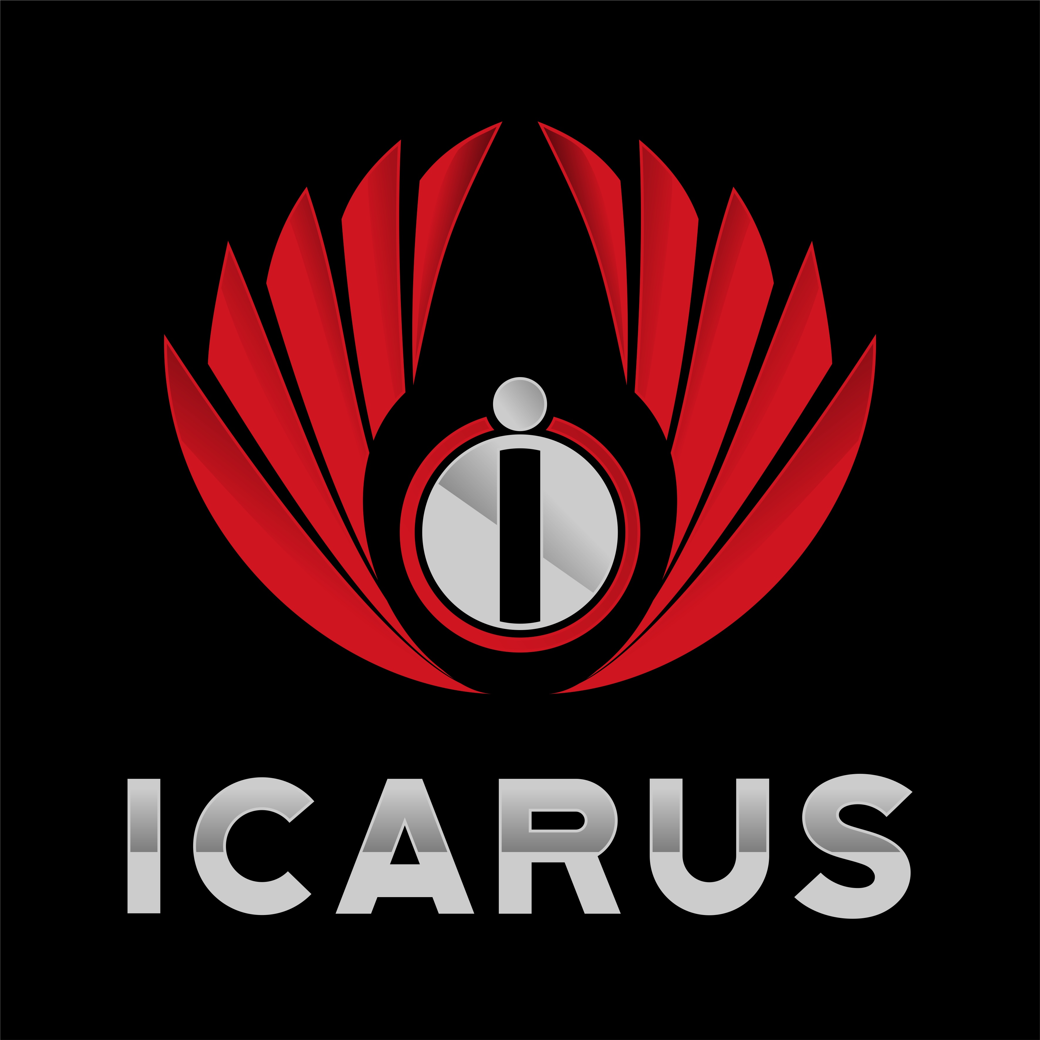 Icarus Consulting